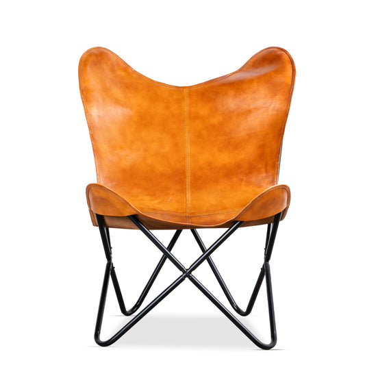 Elegance Reimagined Butterfly Chair